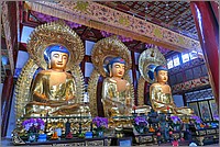 P1700275_6_7.jpg(357 KB)