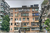 P1700278_79_80.jpg(310 KB)