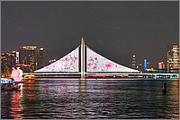 P1700388_89_90.jpg(224 KB)