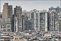 P1700478_79_80.jpg(273 KB)