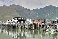 P1710120_1_2.jpg(253 KB)