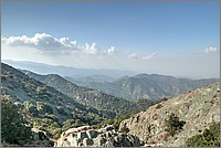 P1640640_1_2.jpg(216 KB)