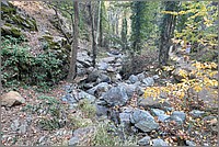 P1640665_6_7.jpg(414 KB)