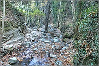 P1640689_90_91.jpg(435 KB)