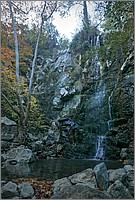 P1640707_8_9.jpg(171 KB)