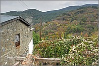 P1640764_5_6.jpg(313 KB)