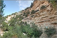 P1640855_6_7.jpg(322 KB)