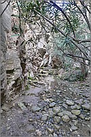 P1640858_59_60.jpg(201 KB)