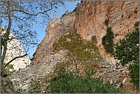 P1640870_1_2.jpg(373 KB)