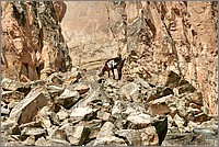 P1640873_4_5.jpg(385 KB)