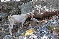 P1640876_7_8.jpg(281 KB)