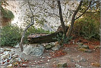P1640883_4_5.jpg(379 KB)