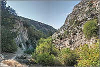 P1640886_7_8.jpg(328 KB)