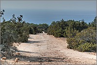 P1640915_6_7.jpg(281 KB)