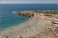 P1640924_5_6.jpg(297 KB)