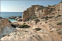 P1640933_4_5.jpg(287 KB)