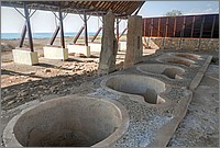 P1650024_5_6.jpg(235 KB)