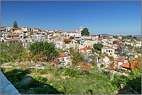 P1650156_7_8.jpg(300 KB)