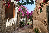P1650165_6_7.jpg(320 KB)