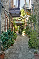 P1650180_1_2.jpg(165 KB)