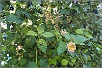 P1650183_4_5.jpg(224 KB)