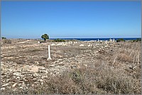 P1650204_5_6.jpg(272 KB)