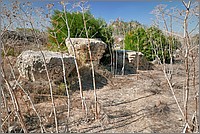 P1650210_1_2.jpg(394 KB)