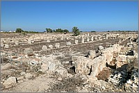 P1650216_7_8.jpg(294 KB)