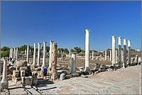 P1650243_4_5.jpg(210 KB)