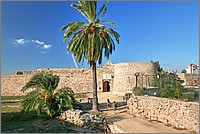 P1650282_3_4.jpg(267 KB)