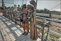 P1650432_3_4.jpg(283 KB)