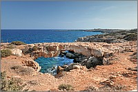 P1650450_1_2.jpg(289 KB)