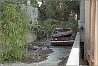 P1650480_1_2.jpg(281 KB)