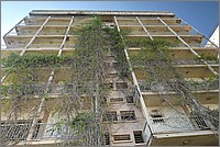 P1650522_3_4.jpg(319 KB)