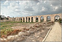 P1650573_4_5.jpg(267 KB)