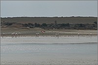 P1650599.JPG(154 KB)