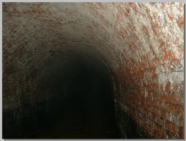 DSCF0006.JPG ()