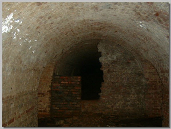 DSCF0037.JPG ()