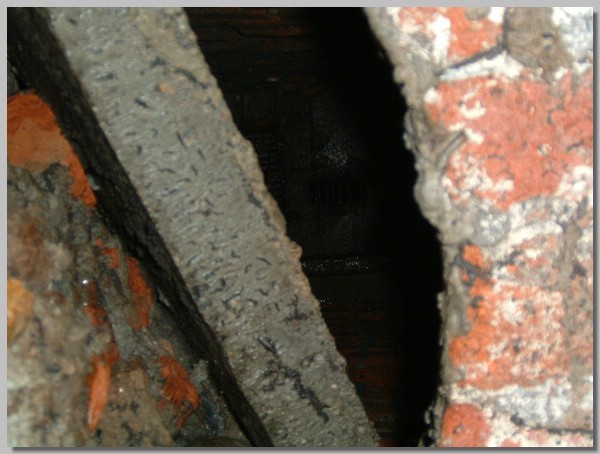 DSCF0038.JPG ()