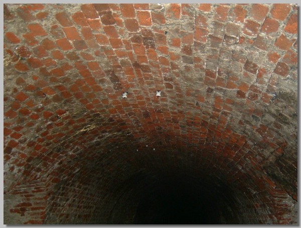 DSCF0050.JPG ()