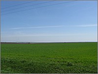 IMG_1393.JPG(74,2 KB)