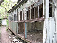 IMG_1956.JPG(170 KB)