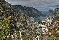 P1460381_2_3.jpg(336 KB)