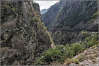 P1460745_6_7.jpg(321 KB)