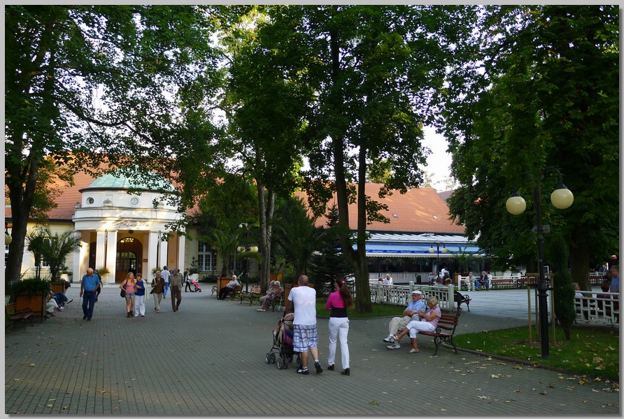 P1120337.jpg (232 KB)