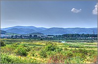 P1120281_2_3.jpg(172 KB)