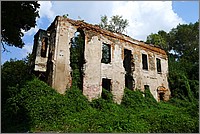 P1120285.jpg(217 KB)