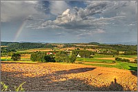 P1120330_1_2.jpg(194 KB)
