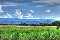 P1120387_8_9.jpg(168 KB)