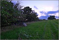 P1120435.jpg(153 KB)